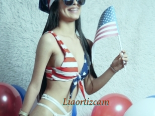 Liaortizcam