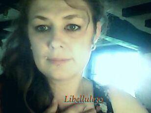 Libellule39