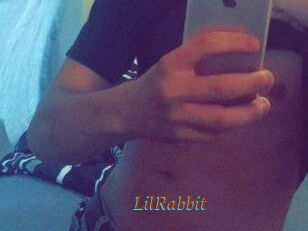 LilRabbit