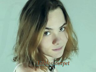 Lilblossompet
