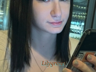 Lilygrows