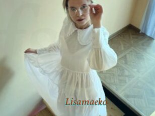 Lisamaeko