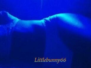 Littlebunny66