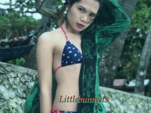 Littlebunnyts