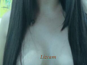 Lizcam