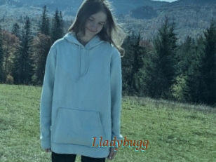 Lladybugg