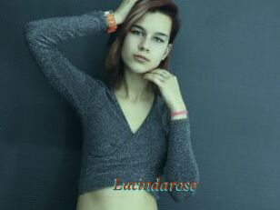Lucindarose