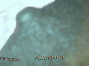 MIRATOUT