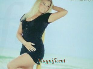 Magnificent