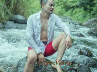 MagnusWayne