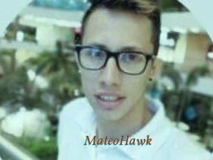 MateoHawk