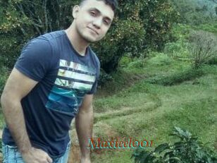 Maxteel001