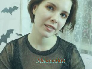 MelanieBird