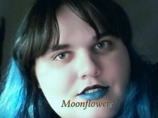 Moonflowers
