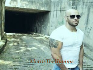 MorrisTheHumme