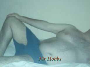 Mr_Hobbs