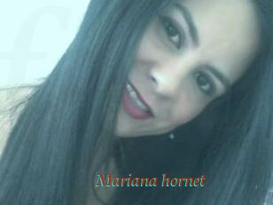 Mariana_hornet