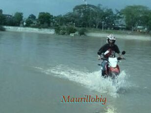 Maurillobig