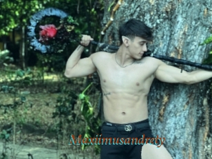 Maxiimusandrety