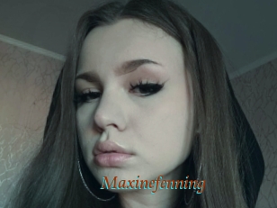Maxinefenning
