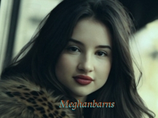 Meghanbarns