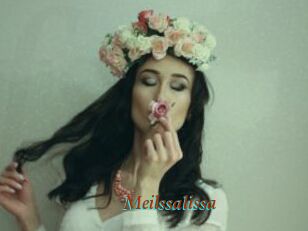 Meilssalissa
