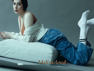 Melisacloud