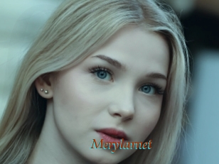 Merylarnet