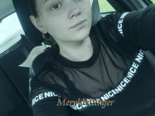 Meryldettinger