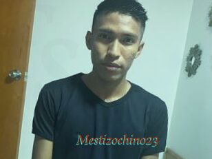 Mestizochino23