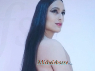 Michelebosse