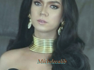 Michelecalib