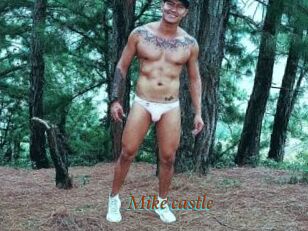 Mike_castle