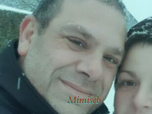 Mimiseb