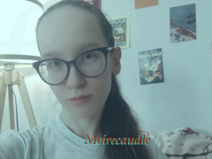 Moirecaudle