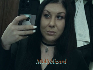 Mollyblizard