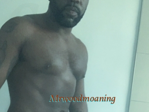 Mrwoodmoaning