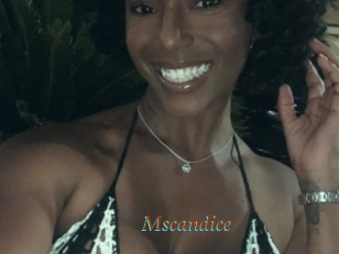 Mscandice