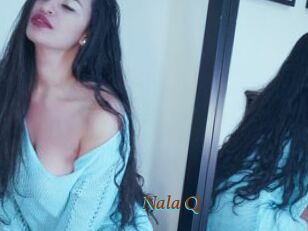 Nala_Q