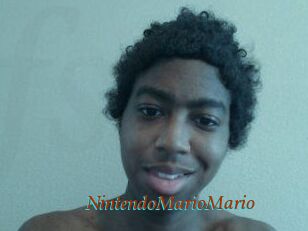 NintendoMarioMario