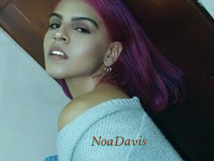NoaDavis