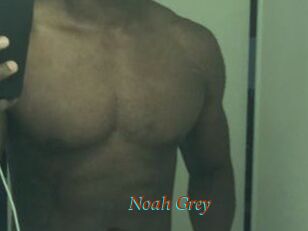 Noah_Grey