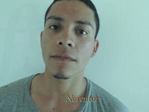 Noren_tor