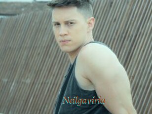 Neilgaviria