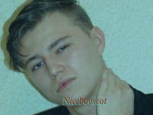 Niceboyscot