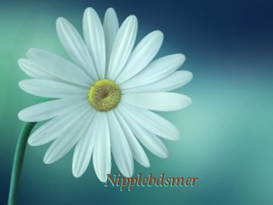 Nipplebdsmer