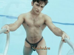 Noaheden