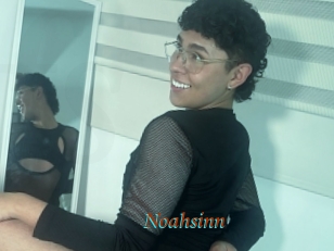 Noahsinn