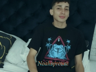 Noahsprouse