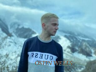 OSTIN_WELLS